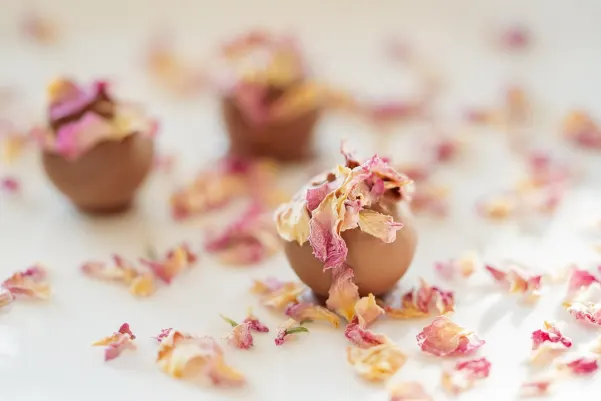 Καζίνο Χαιτι Γουιν Εφαρμογή Android/iOS